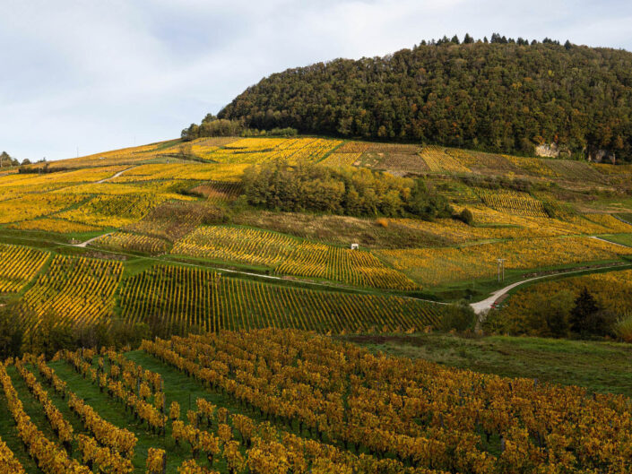 Franche-Comté